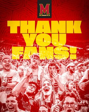 Image post by @terrapinhoops on Instagram