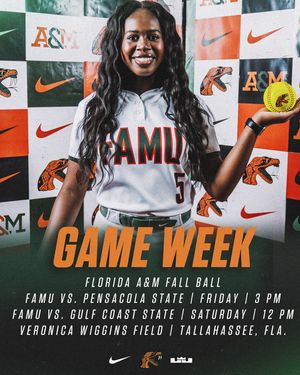 Image post by @famu_softball on Instagram
