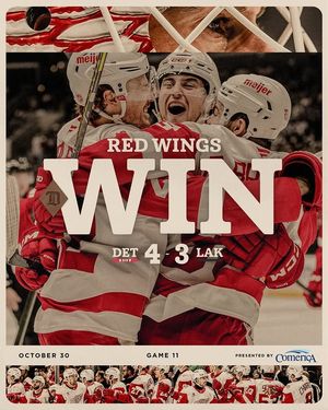 Image post by @detroitredwings on Instagram