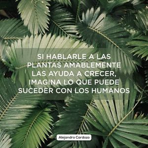 Image post by @alejandrocardozo_oficial on Instagram