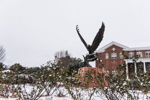 Image post by @southernmissathletics on Instagram