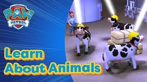 Video post by @pawpatrolofficial on YouTube