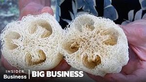 Video post by @businessinsider on YouTube