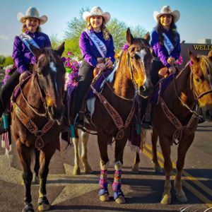 Image post by @cityofapachejunction on Instagram