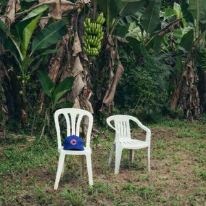 Image post by @cubs on Instagram