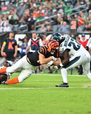 Image post by @bengals on Instagram