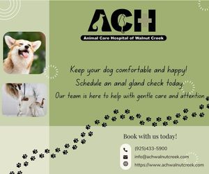 Image post by @achwalnutcreek on Instagram