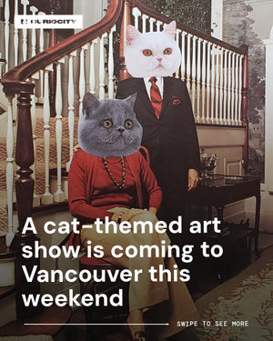 Image post by @curiocityvancouver on Instagram
