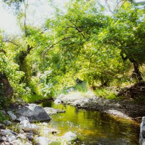 Image post by @sjparksandrec on Instagram