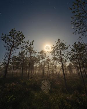 Image post by @keiousai on Instagram