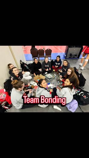 Video post by @PLAvolleyball on Facebook