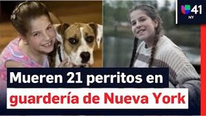 Video post by @univisionnuevayork on YouTube