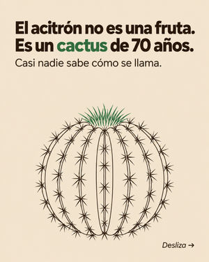 Image post by @cusibanioficial on Instagram