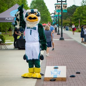 Image post by @UNCWAlumni on Twitter