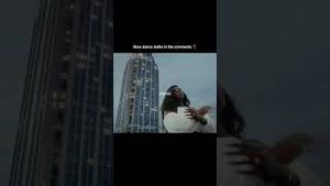 Video post by @alexiajayyy on YouTube