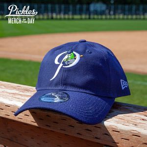 Image post by @picklesbaseball on Instagram