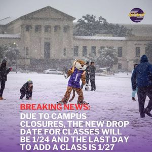 Image post by @lsutigertv on Instagram