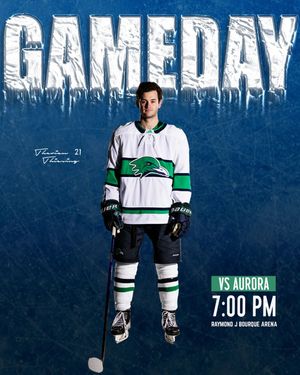 Image post by @endicottmih on Instagram