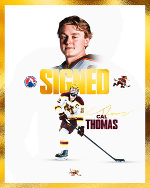 Image post by @gophermhockey on Instagram
