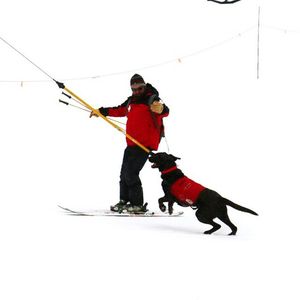 Image post by @skicrestedbutte on Instagram