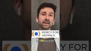 Video post by @vox on YouTube