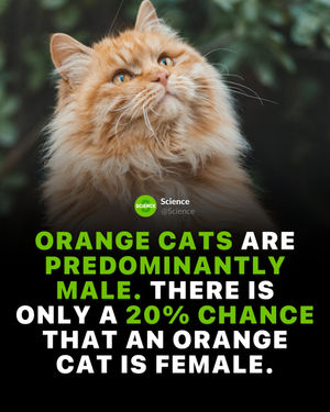 Image post by @science on Instagram