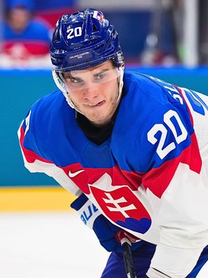 Video post by @iihfhockey on TikTok