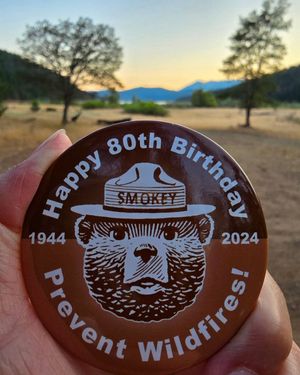 Image post by @smokeybear on Instagram