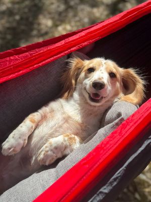 Image post by @enohammocks on Instagram