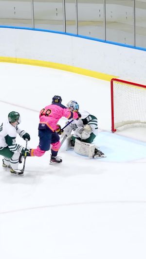 Video post by @fschockey on TikTok