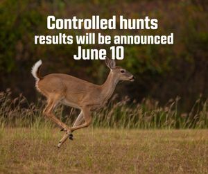 Image post by @okwildlifedept on Instagram