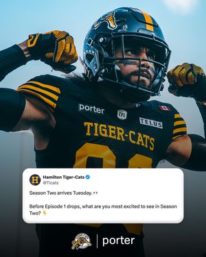 Image post by @hamiltontigercats on Instagram