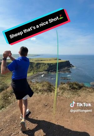 Video post by @gerry.carry on TikTok
