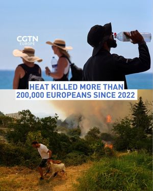 Image post by @cgtneurope on Instagram