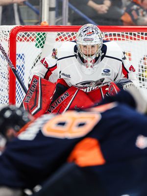 Image post by @livingitdigital on Instagram