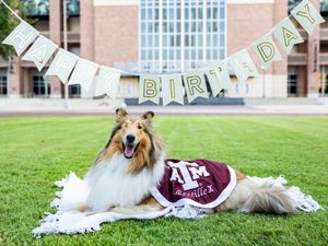 Image post by @tamu on Instagram