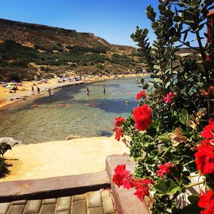 Image post by @robertaborsari on Instagram