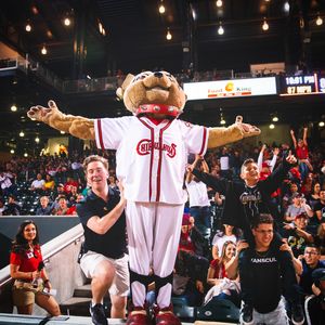Image post by @chico_epchihuahuas on Instagram