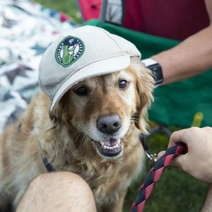 Image post by @picklesbaseball on Instagram