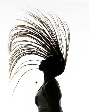 Image post by @canesrowing on Instagram