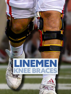 Video post by @jveldheer on TikTok