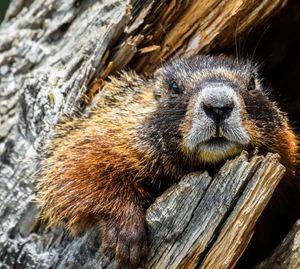 Image post by @nationalparkservice on Instagram