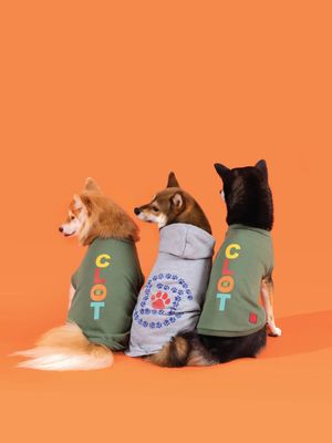 Image post by @clot on Instagram