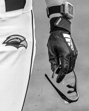 Image post by @petunia.photo on Instagram