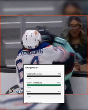 Image post by @hockeyfights on Instagram