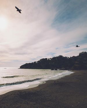 Image post by @themikeledford on Instagram