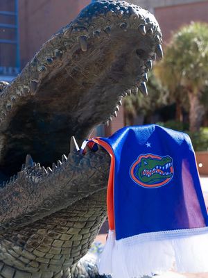 Image post by @gatorsstudents on Instagram