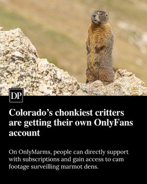 Image post by @denverpost on Instagram