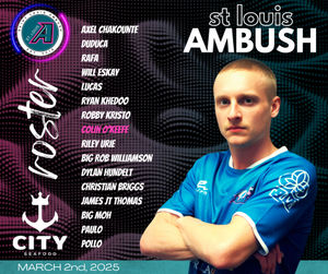 Image post by @stlouisambush on Instagram