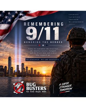 Image post by @bugbustersusa on Instagram